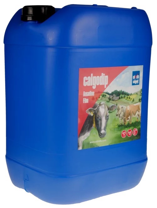 calgodip Amadine Film